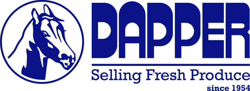 Dapper Agencies
